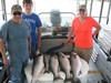 (06/09/2015) - Nice Striped Bass